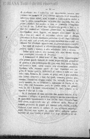 n. 20 (1885) - Pagina: 153 e sommario
