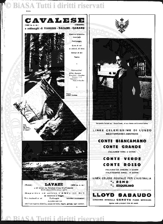 n. 8 (1905) - Pagina: 219