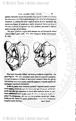 n. 49 (1887) - Frontespizio