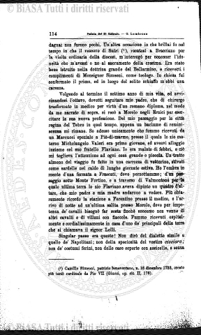 s. 6, n. 100 (1997) - Copertina: 1