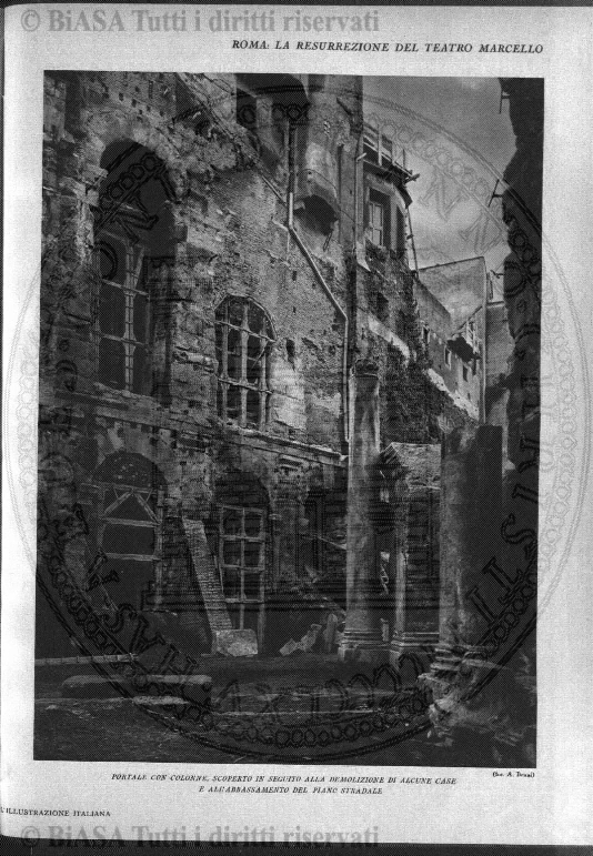 v. 11, n. 29 (1784-1785) - Pagina: 233
