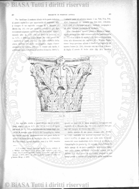 n. 3 (1903) - Pagina: 71
