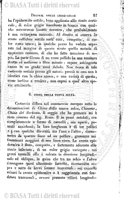 n. 5 (1872) - Pagina: 65