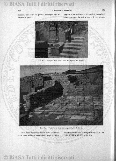 n. 11 (1955) - Pagina: 313