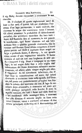 n. 19 (1906) - Frontespizio