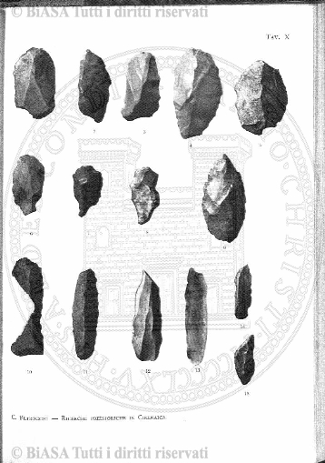 n. 50 (1890-1891) - Pagina: CXXXIII