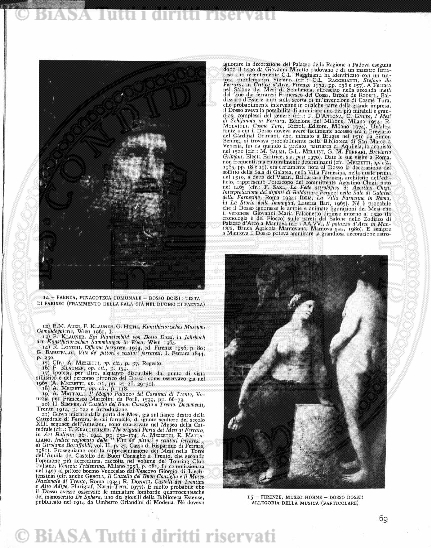 n. 7 (1928) - Pagina: 73