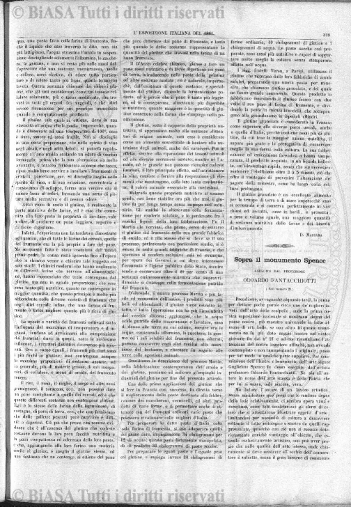 n. 10 (1881) - Pagina: 19