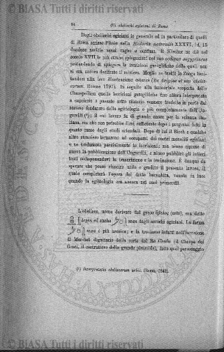 n. 5-6 (1831) - Pagina: 81