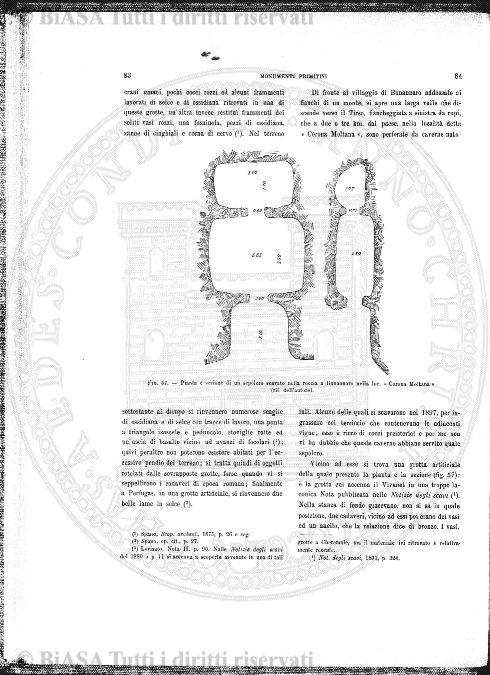 s. 2, n. 10 (1892-1893) - Pagina: 217