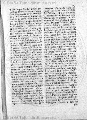 n. 8 (1924-1925) - Copertina: 1