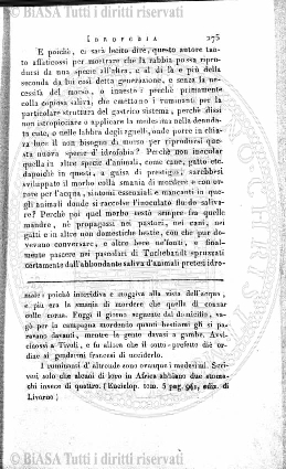s. 2, n. 20 (1890-1891) - Pagina: 457