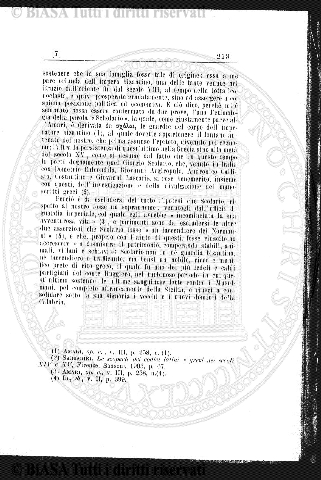 v. 7, n. 8 (1898) - Pagina: 113
