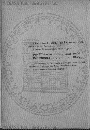 n. 4 (1882) - Pagina: 65