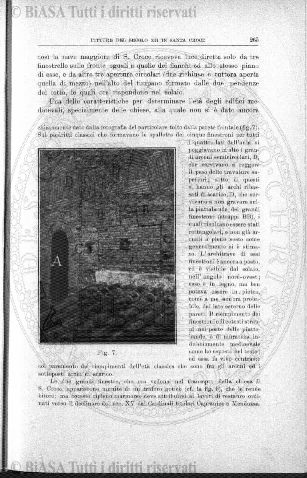 n. 39 (1910) - Frontespizio