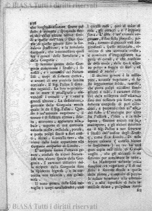 n. 7-9 (1904) - Copertina: 1