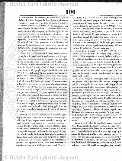 v. 61, n. 361 (1925) - Copertina: 1