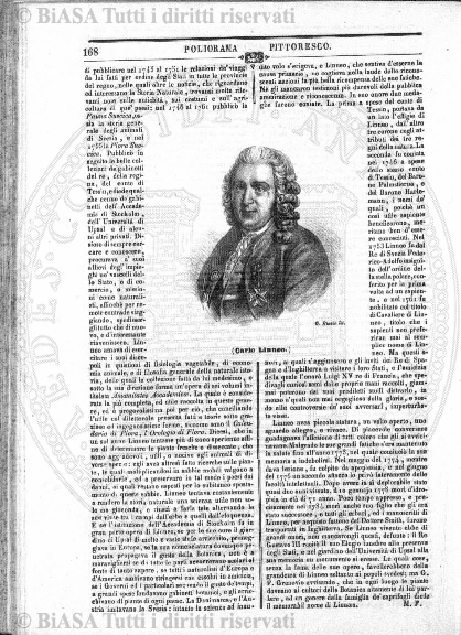 s. 2, v. 6, n. 8 (1880) - Sommario: p. 113