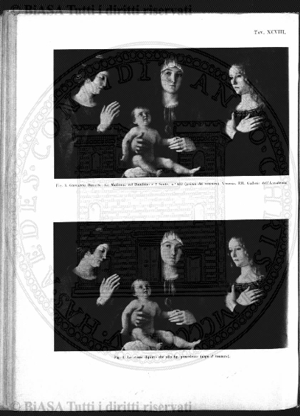 s. 5, n. 2 (1972) - Copertina: 1