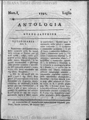 v. 1, n. 11 (1892) - Pagina: 161