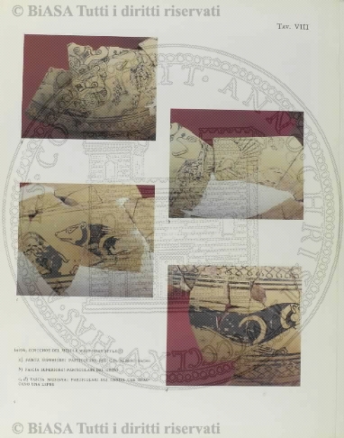 n. 5-7 (1905) - Copertina: 1