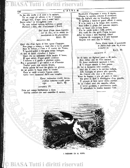 v. 17, n. 36 (1790-1791) - Pagina: 281