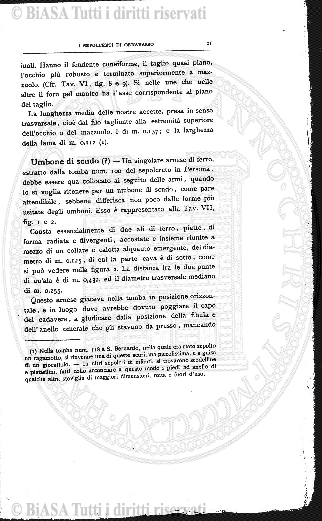 n. 15 (1890-1891) - Pagina: 125