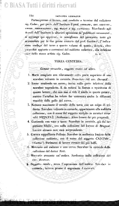 n. 4 (1928) - Pagina: 37