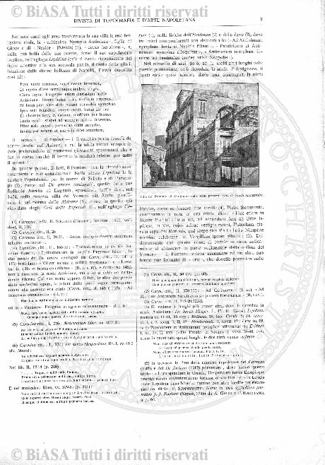 n. 7 (1905) - Pagina: 53