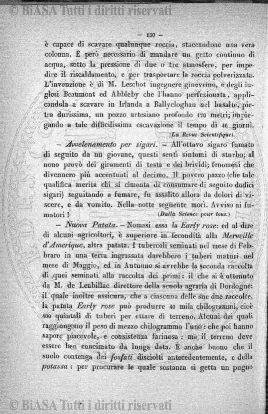 n. 20 (1890-1891) - Pagina: XVII