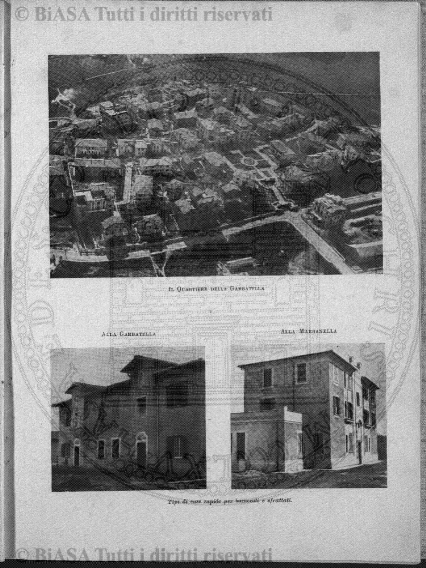 s. 3, n. 20 (1902) - Pagina: 141 e sommario