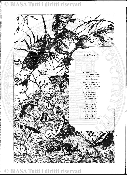 s. 4, n. 6 (1885) - Sommario: p. 81