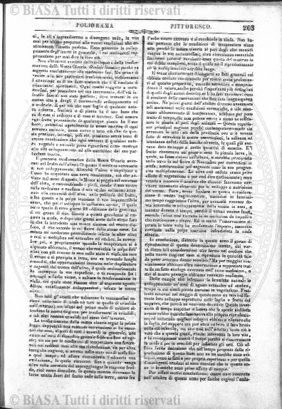 dic (1927) - Copertina: 1