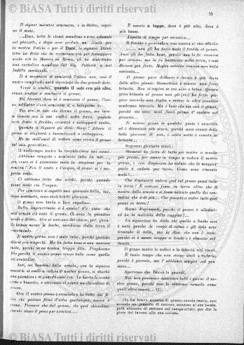 s. 3, n. 5 (1893) - Pagina: 65