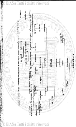 n. 4 (1895) - Pagina: 29