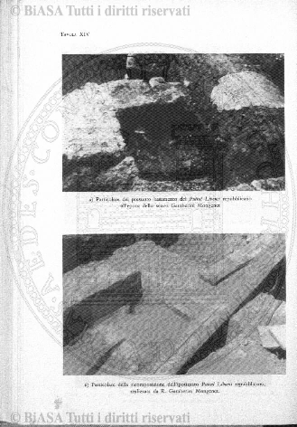 s. 2, v. 6, n. 1-2 (1890) - Frontespizio