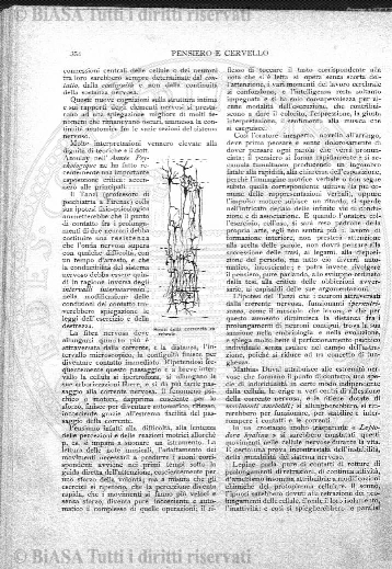 v. 16, n. 42 (1789-1790) - Pagina: 329