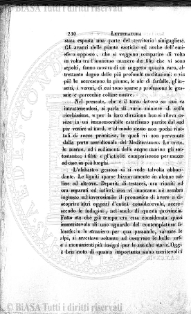 n. 38 (1904) - Frontespizio