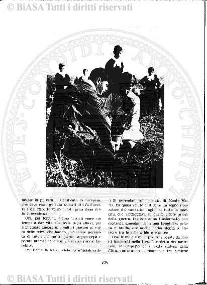 n. 24 (1882) - Frontespizio