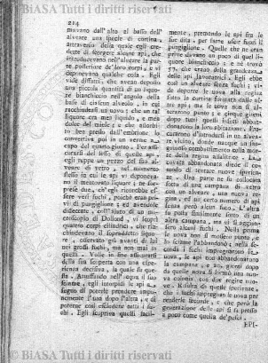 n. 48 (1844-1845) - Pagina: 97