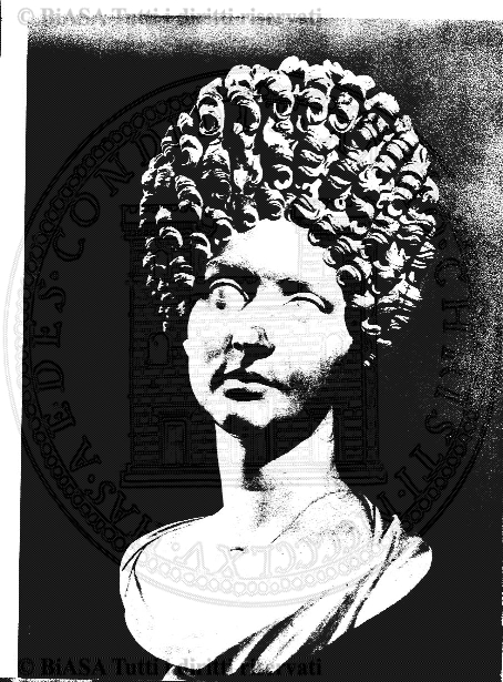 n. 5 (1895) - Pagina: 37