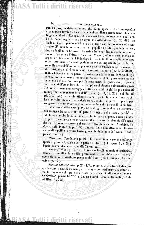 n. 3 (1933) - Pagina: 45