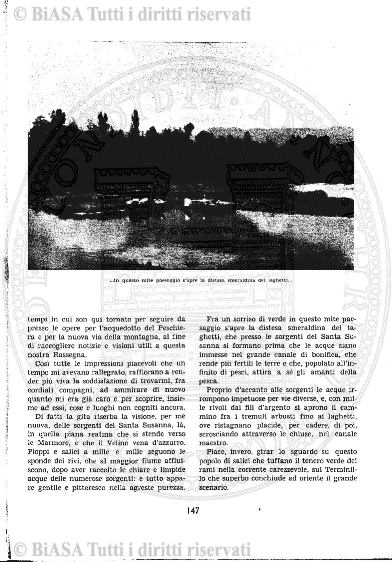 n. 15 (1878) - Frontespizio