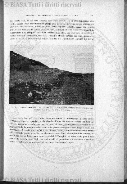 v. 17, n. 1-2 (1894) - Copertina: 1
