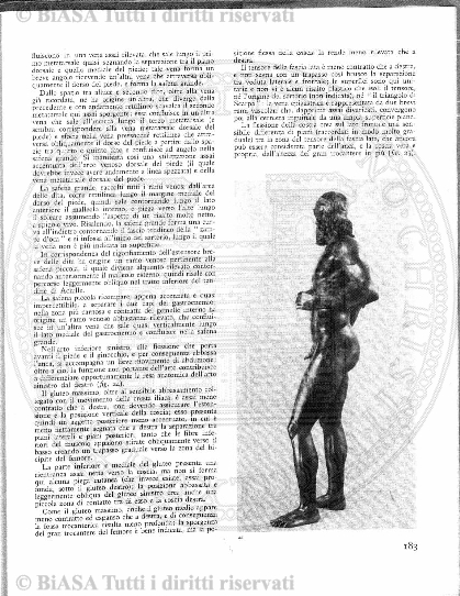 n. 5 (1924) - Pagina: 49
