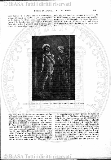 v. 6, n. 19 (1779-1880) - Pagina: 145