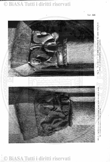 v. 10, n. 50 (1845-1846) - Pagina: 393