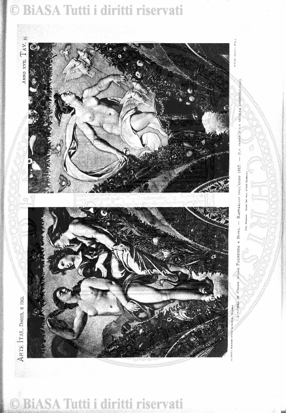 s. 2, n. 33 (1888-1889) - Pagina: 1