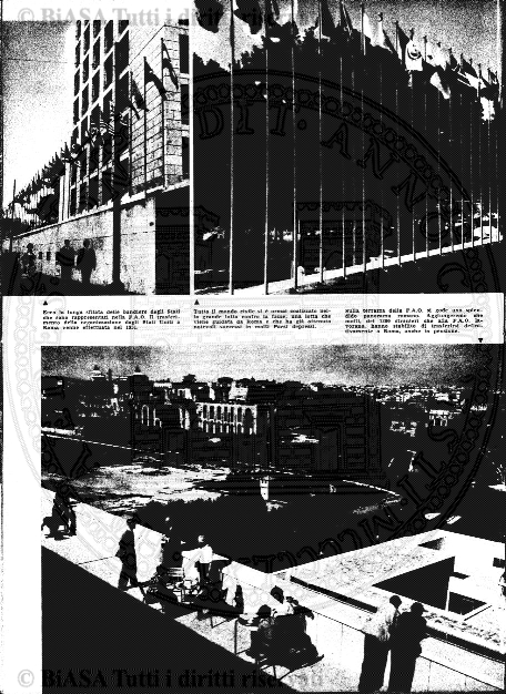 v. 15, n. 3-4 (1906) - Pagina: 33