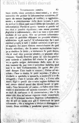 v. 21, n. 47 (1854-1855) - Pagina: 369